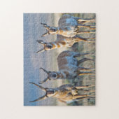 Verenigde Staten, Wyoming, Vier Pronghorn-antipiek Legpuzzel (Verticaal)