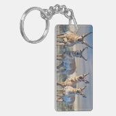 Verenigde Staten, Wyoming, Vier Pronghorn-antipiek Sleutelhanger (Voorkant Links)