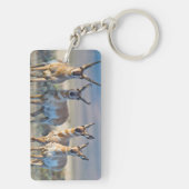 Verenigde Staten, Wyoming, Vier Pronghorn-antipiek Sleutelhanger (achterkant)