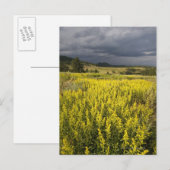 Verenigde Staten, Zuid-Dakota, bloemen en storm Briefkaart (Voorkant / Achterkant)