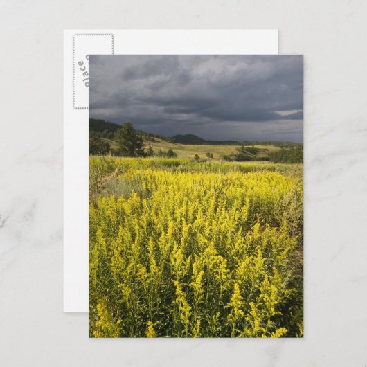 Verenigde Staten, Zuid-Dakota, bloemen en storm Briefkaart (Voorkant / Achterkant)