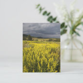 Verenigde Staten, Zuid-Dakota, bloemen en storm Briefkaart (Staand voorkant)