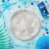 Verenveren, grijs, beige en blauw, vogel, licht, papieren bordje (Feest)