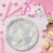 Verenveren, grijs, beige en blauw, vogel, licht, papieren bordje (Feest)