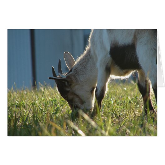 Verf (Voorkant Horizontaal)