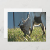 Verf (Voorkant / Achterkant)