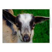 Verf (Voorkant Horizontaal)