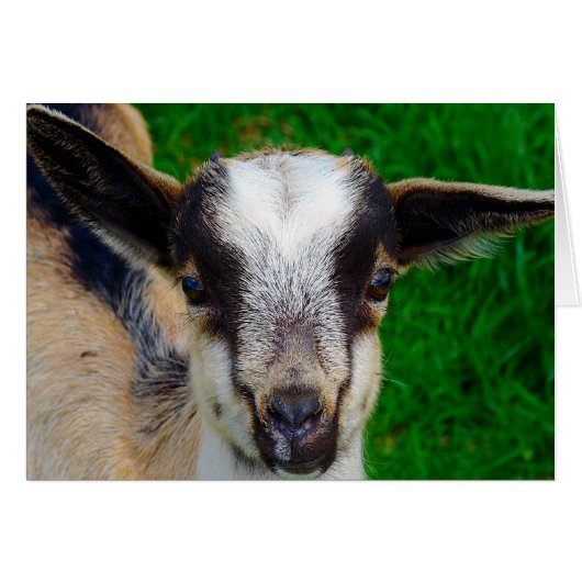 Verf (Voorkant Horizontaal)