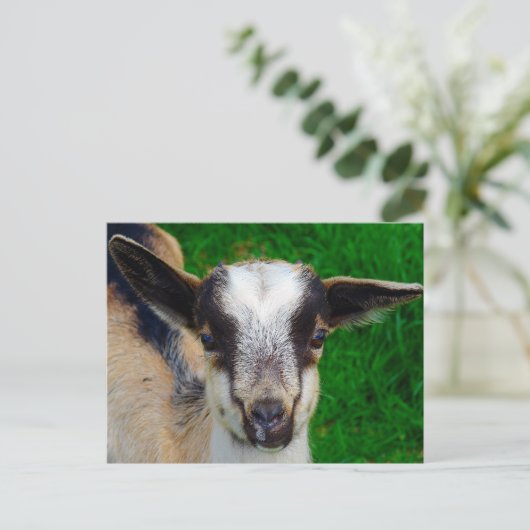 Verf Briefkaart (Staand voorkant)