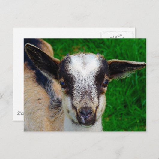 Verf Briefkaart (Voorkant / Achterkant)