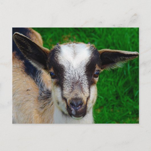 Verf Briefkaart (Voorkant)