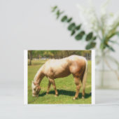 Verf Briefkaart (Staand voorkant)