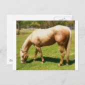 Verf Briefkaart (Voorkant / Achterkant)