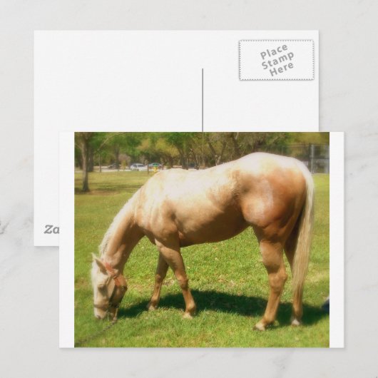 Verf Briefkaart (Voorkant / Achterkant)