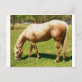 Verf Briefkaart (Voorkant)