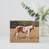 Verf Briefkaart (Staand voorkant)