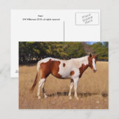 Verf Briefkaart (Voorkant / Achterkant)