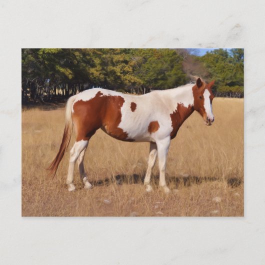 Verf Briefkaart (Voorkant)