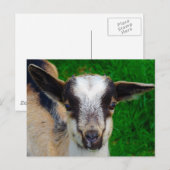 Verf Briefkaart (Voorkant / Achterkant)