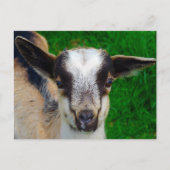 Verf Briefkaart (Voorkant)