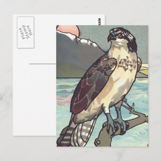 Verf door Number Hawk Briefkaart (Voorkant / Achterkant)