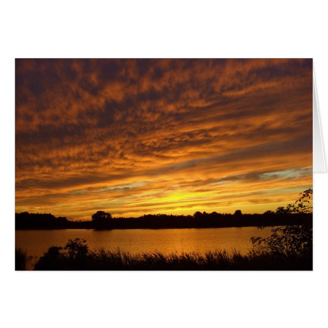 Verf het oranje (Voorkant Horizontaal)