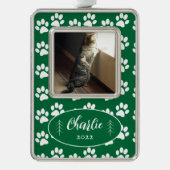 Verf het Patrooncat van de Druk Groene Geframde Ve Verzilverd Omlijst Ornament (Voorkant)