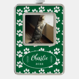 Verf het Patrooncat van de Druk Groene Geframde Ve Verzilverd Omlijst Ornament