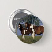 Verf HMare & Foal Ronde Button 5,7 Cm (Voorkant /achterkant)