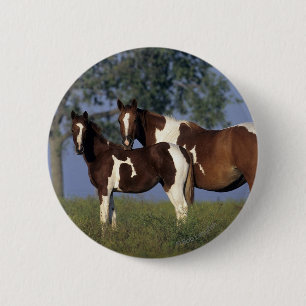 Verf HMare & Foal Ronde Button 5,7 Cm