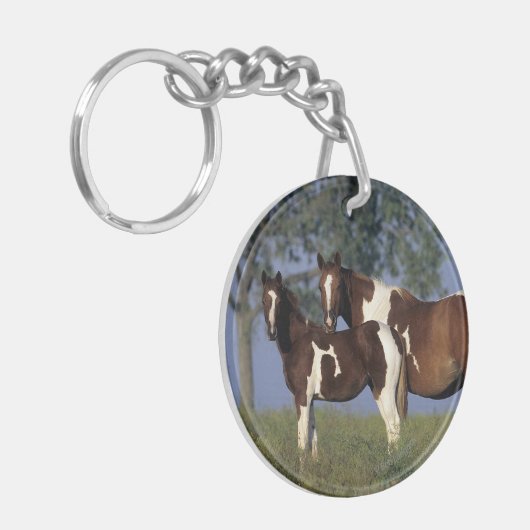 Verf HMare & Foal Sleutelhanger (Voorkant Links)