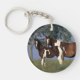 Verf HMare & Foal Sleutelhanger