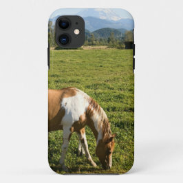 Verf in de bergen Case-Mate iPhone case