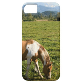 Verf in de bergen Case-Mate iPhone case