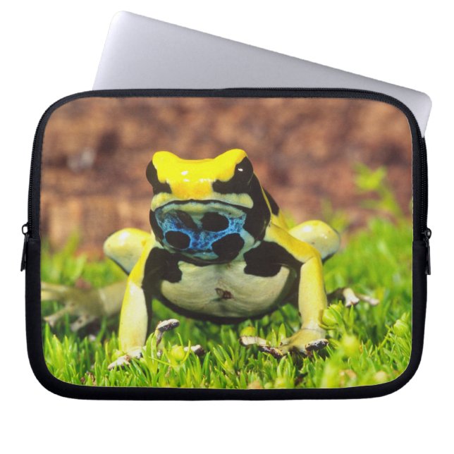 Verf Kikker, Dendrobates tinctorius, Laptop Sleeve (Voorkant)