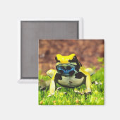 Verf Kikker, Dendrobates tinctorius, Magneet (Voorkant / Achterkant)