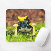 Verf Kikker, Dendrobates tinctorius, Muismat (Met muis)