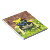Verf Kikker, Dendrobates tinctorius, Notitieblok (Schuin)