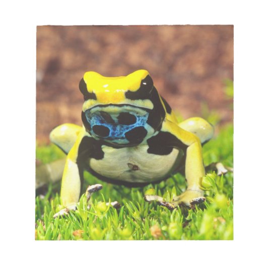 Verf Kikker, Dendrobates tinctorius, Notitieblok (Voorkant)
