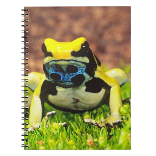 Verf Kikker, Dendrobates tinctorius, Notitieboek (Voorkant)