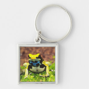 Verf Kikker, Dendrobates tinctorius, Sleutelhanger