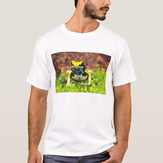 Verf Kikker, Dendrobates tinctorius, T-shirt (Voorkant)