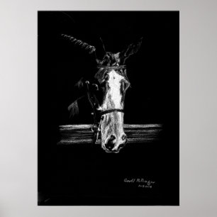 Verf op zwart paardenportret poster