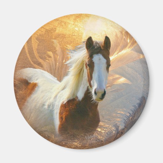 Verf Paard Gouden Magneet (Voorkant)