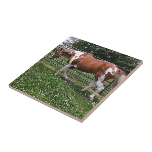 Verf Paard Mare genoemd Flashy Tegeltje (Zijkant)