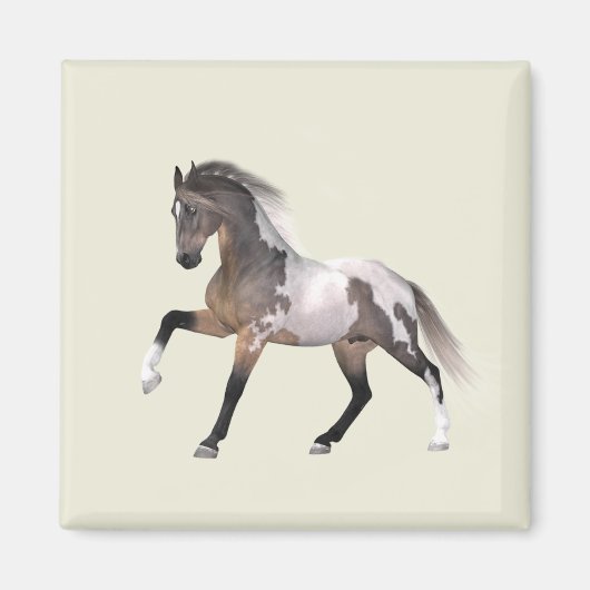 Verf Paard met magneet (Voorkant)