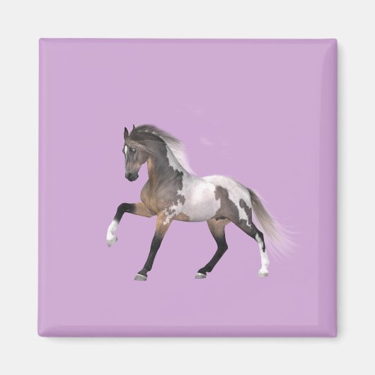 Verf Paard met magneet (Voorkant)