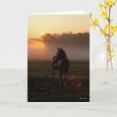 Verf paard staat in de mist op zonsopgang kaart (Gele Bloem)