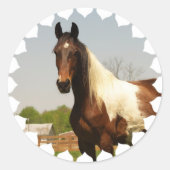 Verf Paard Stickers (Voorkant)