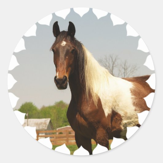 Verf Paard Stickers (Voorkant)